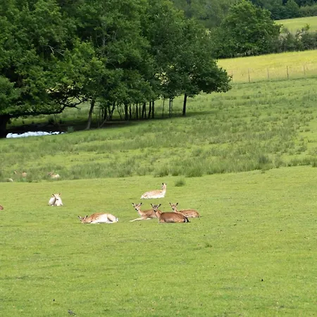 Ferienhaus La De Gardelac Saint-Rémy